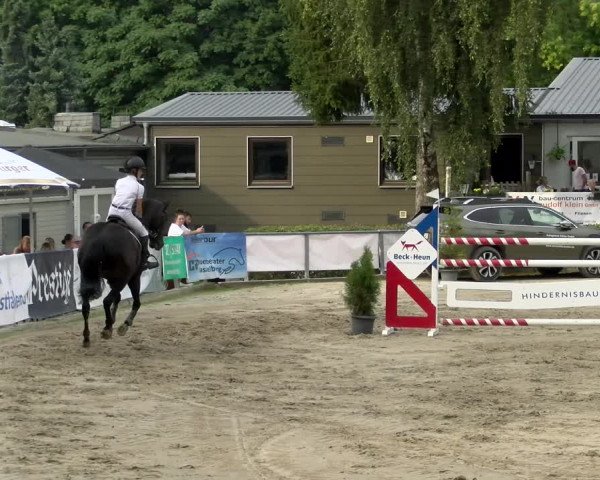 Reitturnier Siegen 2021