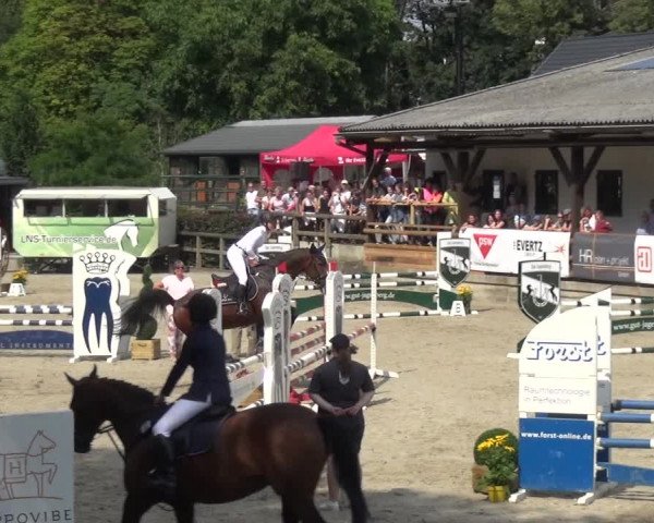Reitsport Festival am Gut Jagenberg - Solingen 2021