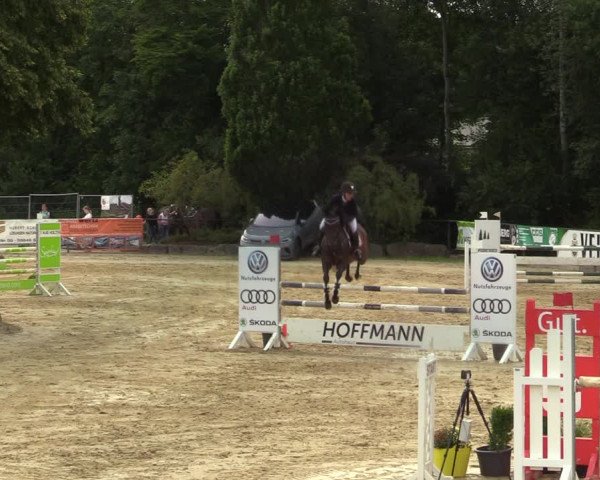 Reitturnier Hellefeld 2021