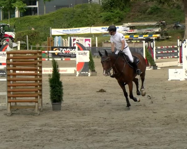 Reitturnier Siegen 2021