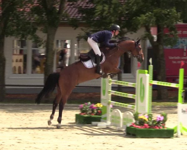 Reitturnier Schnarup-Thumby 2021