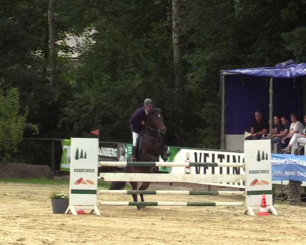 Reitturnier Hellefeld 2021