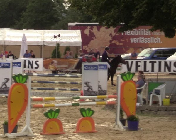 Reitturnier Hellefeld 2021