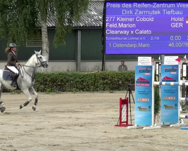 Reitturnier Siegen 2021