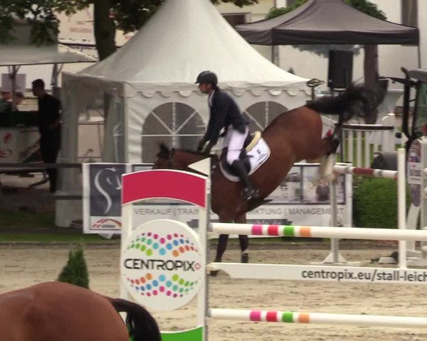 Reitturnier Schnarup-Thumby 2021
