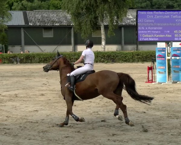 Reitturnier Siegen 2021
