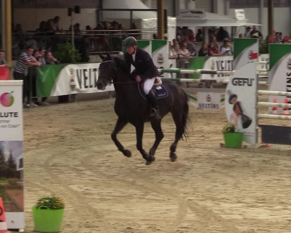 Reitturnier Hellefeld 2021