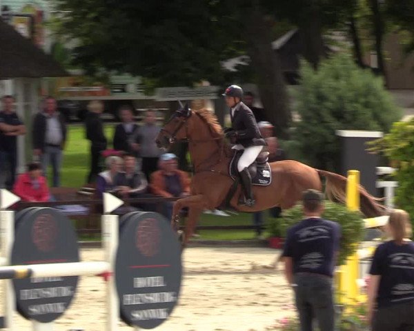 Reitturnier Schnarup-Thumby 2021