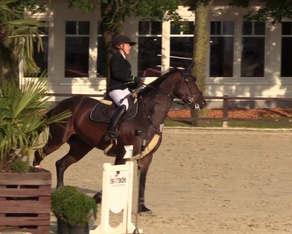 Reitturnier Schnarup-Thumby 2021