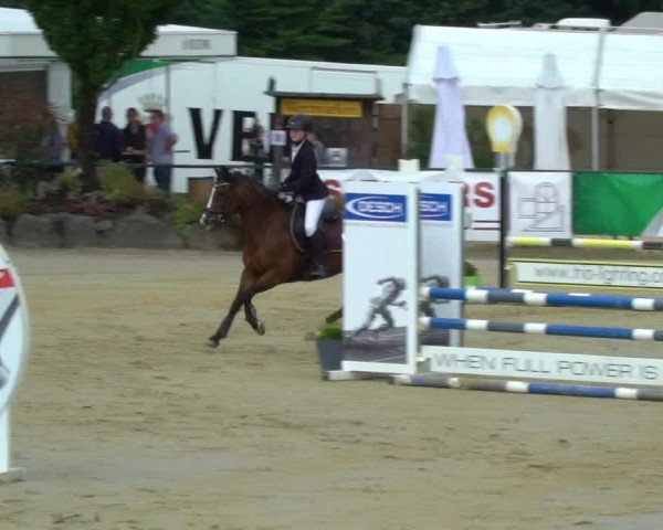 Reitturnier Hellefeld 2021