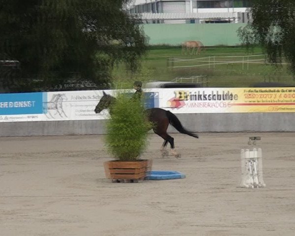 Reitturnier Monheim - Gut Blee 2021