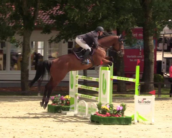 Reitturnier Schnarup-Thumby 2021