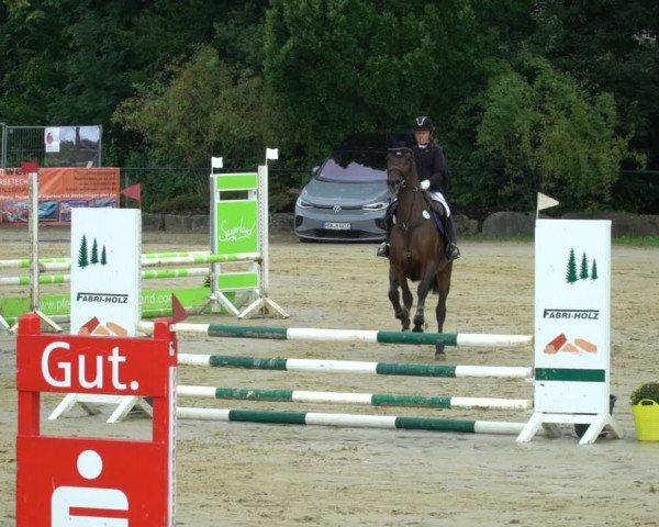 Reitturnier Hellefeld 2021
