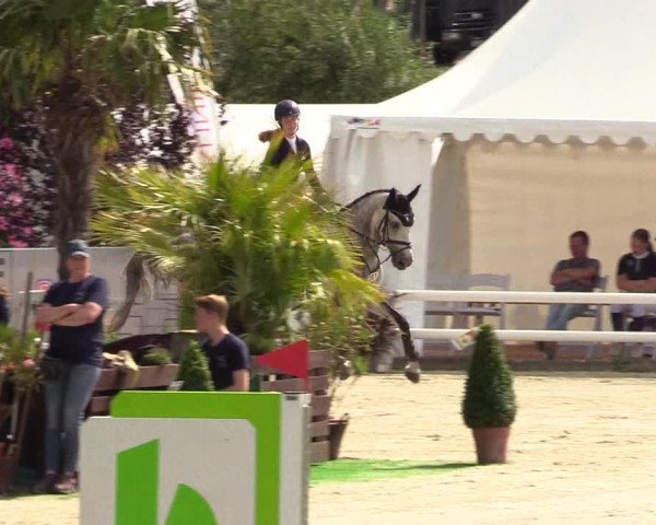 Reitturnier Schnarup-Thumby 2021