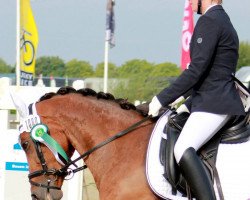 dressage horse Solveyg (German Riding Pony, 2005, from Apslau xx)