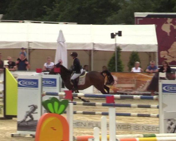 Reitturnier Hellefeld 2021