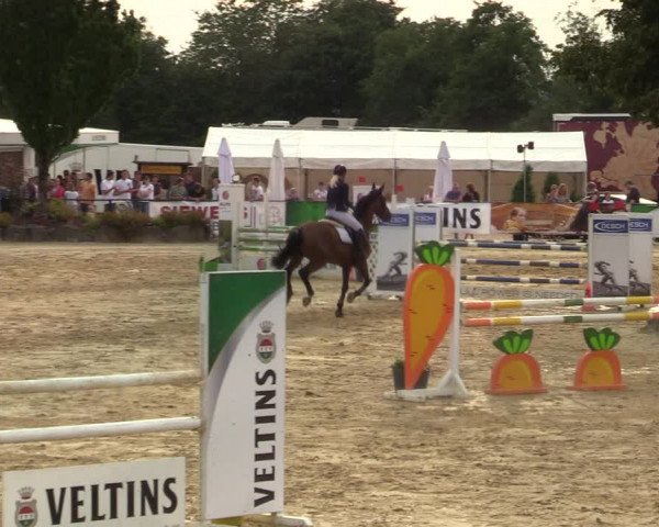 Reitturnier Hellefeld 2021