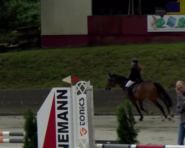 Reitturnier Siegen 2021