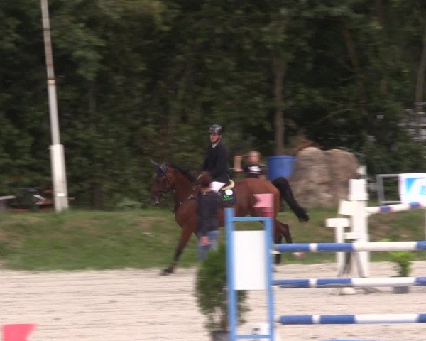 Springturnier Pietzpuhl 2021