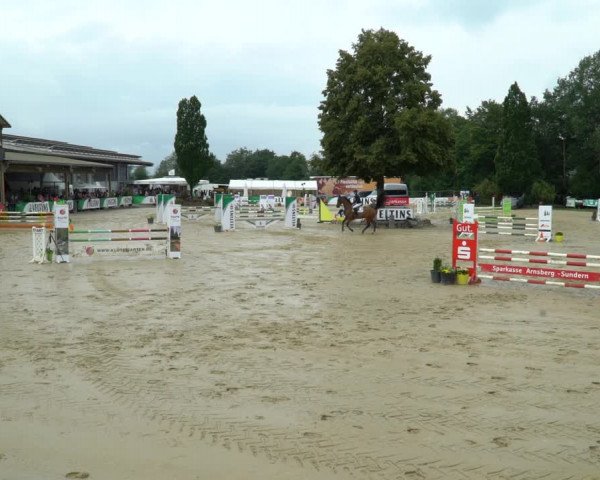 Reitturnier Hellefeld 2021