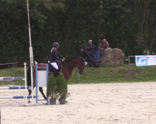 Springturnier Pietzpuhl 2021