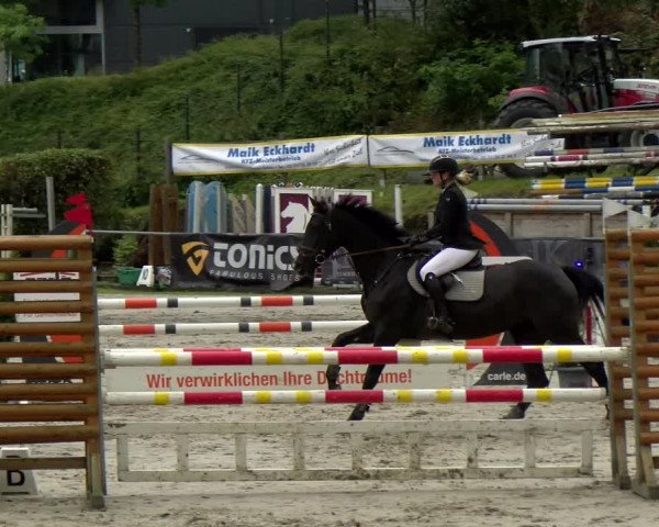 Reitturnier Siegen 2021