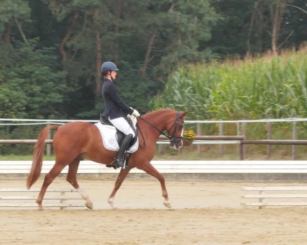 Sommerturnier Ostbevern 2021