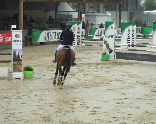 Reitturnier Hellefeld 2021