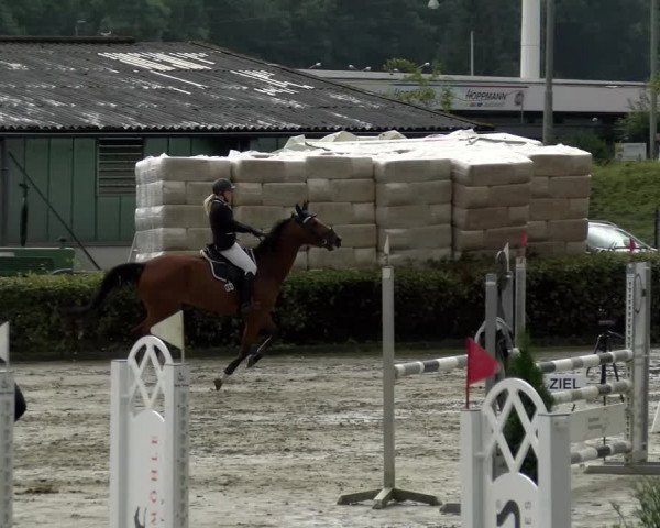 Reitturnier Siegen 2021