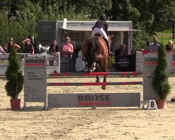 Reitturnier Schnarup-Thumby 2021