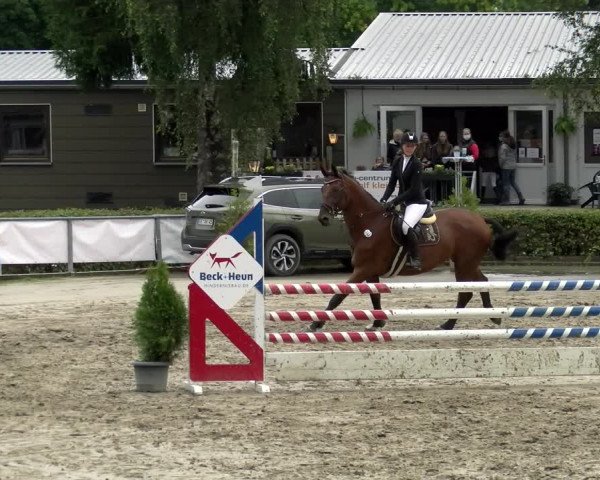 Reitturnier Siegen 2021