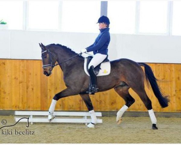 horse Fiderking (Hanoverian, 2008, from Fidertanz)