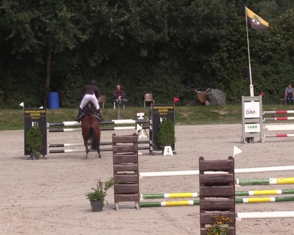 Springturnier Pietzpuhl 2021