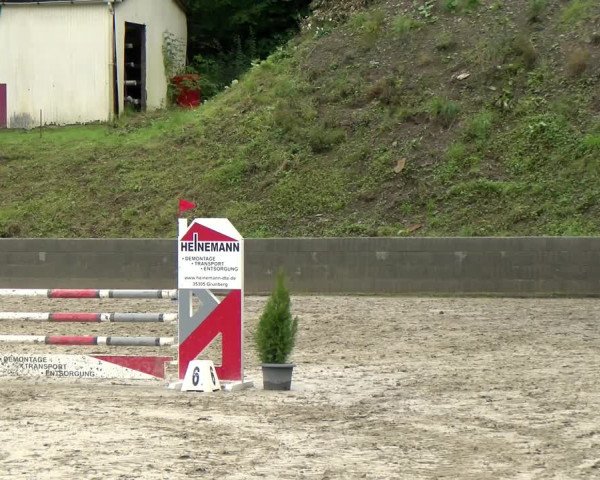 Reitturnier Siegen 2021
