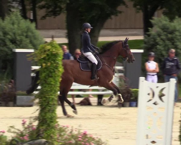 Reitturnier Schnarup-Thumby 2021