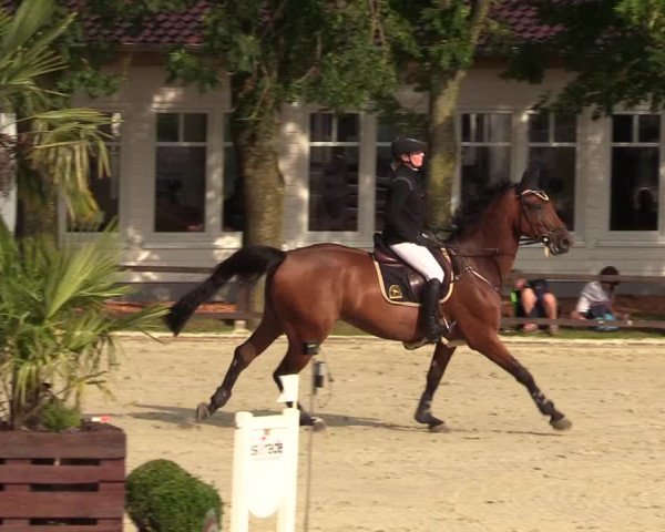 Reitturnier Schnarup-Thumby 2021