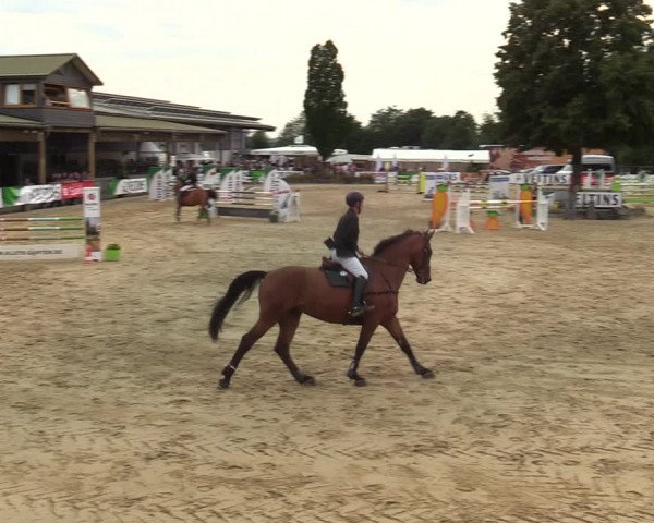 Reitturnier Hellefeld 2021