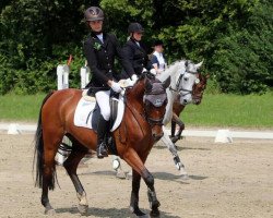 broodmare Luxina 2 (Oldenburg, 2005, from Luxius)