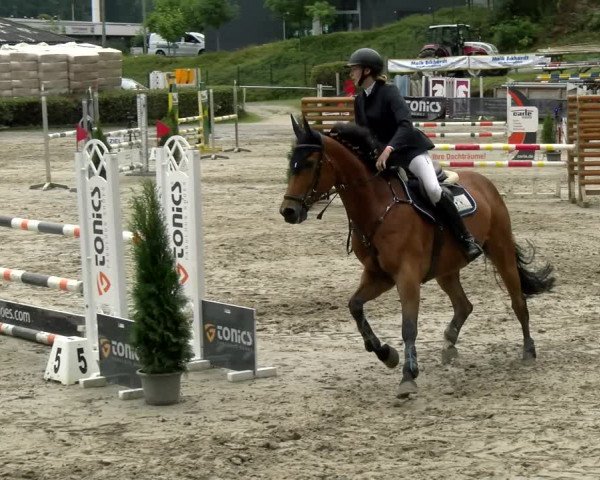 Reitturnier Siegen 2021