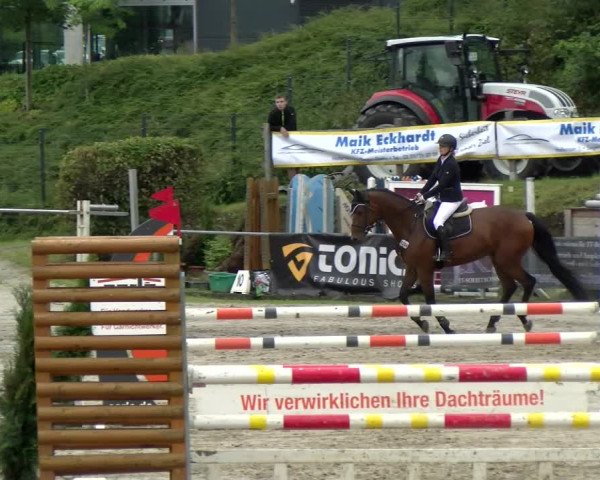 Reitturnier Siegen 2021