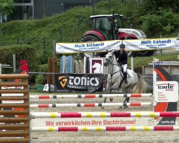Reitturnier Siegen 2021