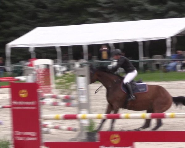 Springturnier Pietzpuhl 2021