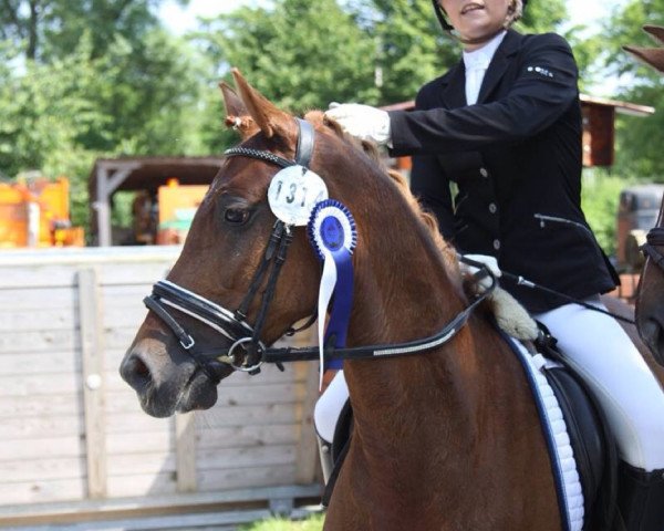 broodmare Miss-Hermine (German Riding Pony, 2008, from Halenkino)