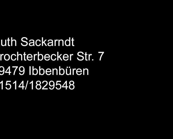 Fohlenpräsentation Hengststation Rüscher-Konermann 2019