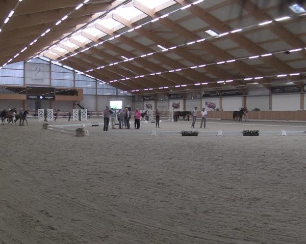 Stuten- und Fohlenschau Riesenbeck-Hörstel 2019