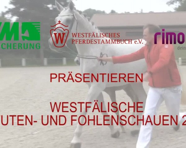 Stuten- und Fohlenschau Münster-Handorf 2019