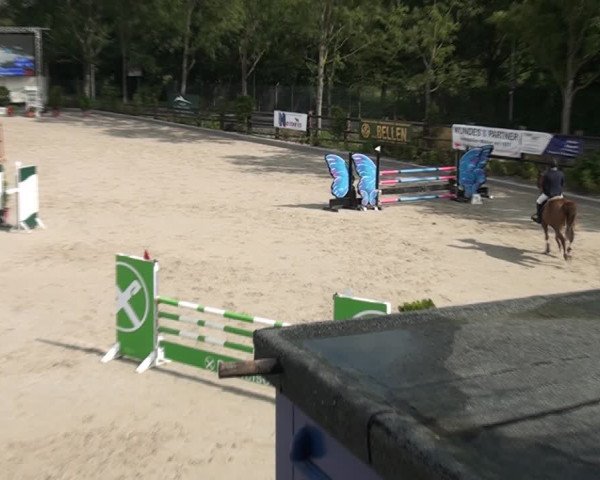 Reitturnier Monheim - Gut Blee 2021