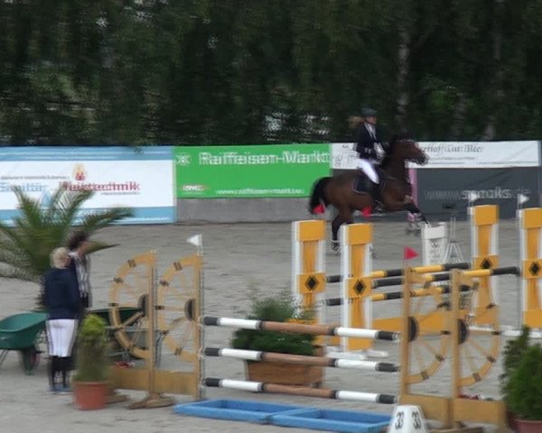 Reitturnier Monheim - Gut Blee 2021