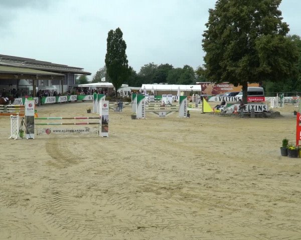 Reitturnier Hellefeld 2021