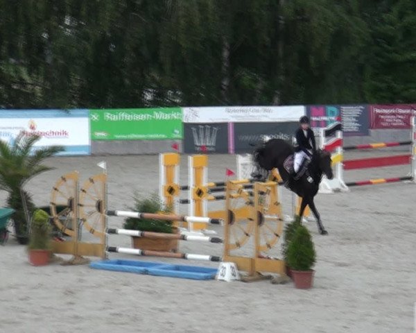 Reitturnier Monheim - Gut Blee 2021